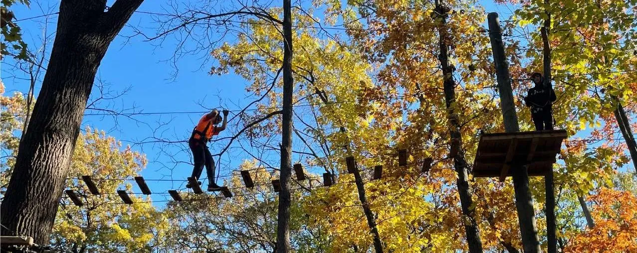 Scouts on a high-ropes course among autumn trees