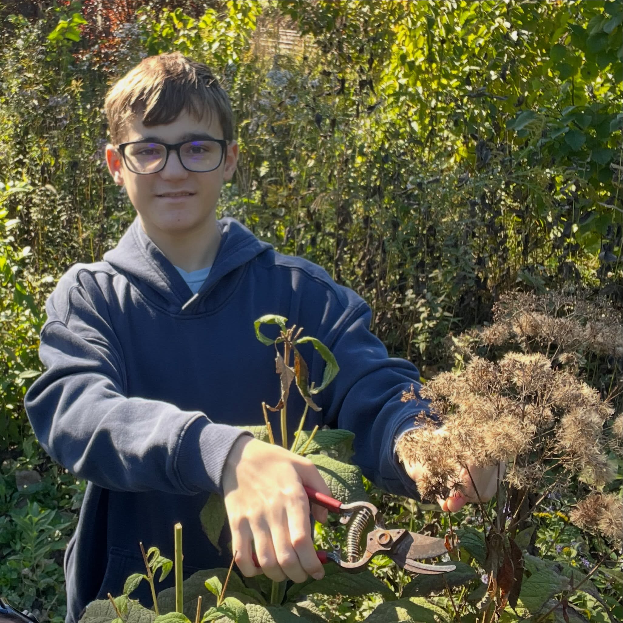 Saturday morning on the Green Bay Trail — our newest Eagle Scout helped cut seed heads to save for future planting